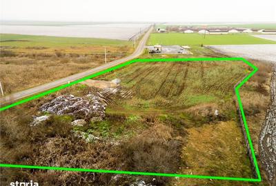 Teren de 5000 mp, în Sânnicolau Român - 6