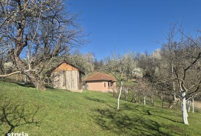 Casă cu 3 camere cu Teren 2586 Mp în Central - 12
