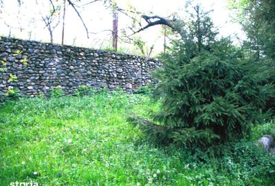 Teren de 14000 mp, în Mihai Viteazu - 11