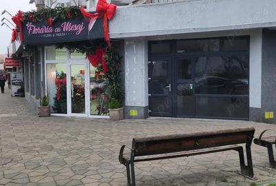 Spatiu Comercial - Stefan cel Mare - 6