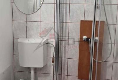 Apartament cu 4 camere decomandat, mobilat în Nicolina - 5