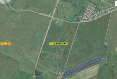 Teren extravilan 25.254 mp in zona Preajba - 12