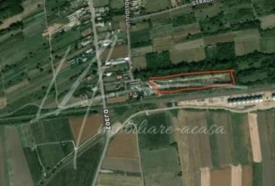 Teren Construcții intravilan de 10275 mp, în Dridu - 7