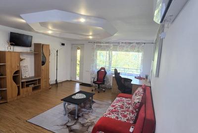 2 camere, în vila, la curte, centrala, parcare, pet friendly, metrou Gorjului, - 3