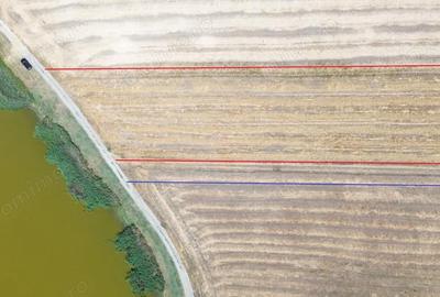 Teren de 6500 mp, în Frumușani - 7