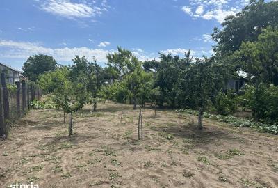Casă cu 4 camere cu Teren 1230 Mp în Malu Mare - 9