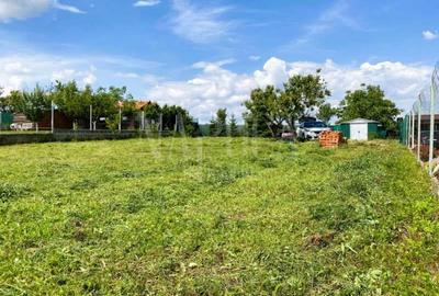 Teren intravilan pentru constructii de vanzare in Paleu - 4