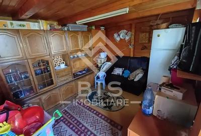 Teren 9.65 ari intravilan + cabană, livadă, zonă liniștită - 4