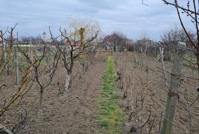 Casă individuală cu 4 camere cu Garaj în Central - 5