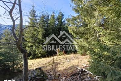 Spațiu comercial, în Tău - 1