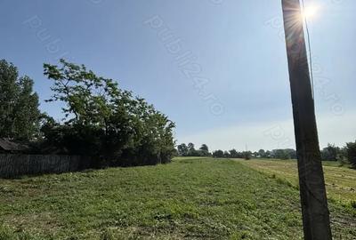 Teren de 5000 mp, în Fusea - 5
