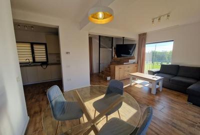 De inchiriat vila moderna cu 3 camere in zona Tunari - 4