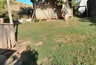 Casă cu 3 camere cu Teren 1600 Mp în Zau de Câmpie