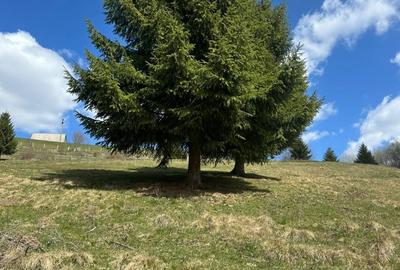 Spațiu comercial, în Măguri - 1