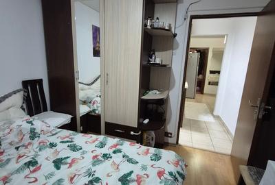 Apartament cu 2 camere, mobilat în 1 Decembrie 1918 - 8
