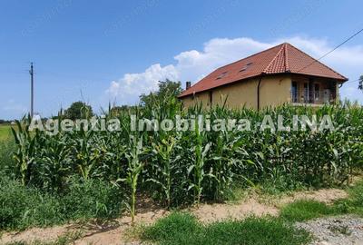 Teren de 1690 mp, în Sântuhalm - 4