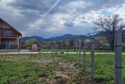 Teren Intravilan 464mp , spre vanzare in centru in  Talmaciu - 4