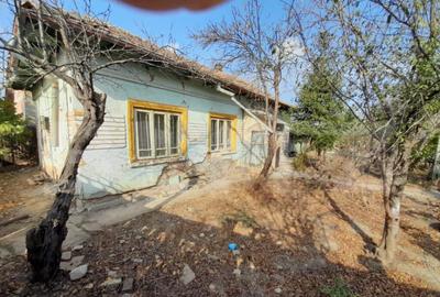 Teren 1160 mp + casa batraneasca, zona Cosoveni - 5