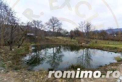 Pensiunea cu lac si ciubar Nucsoara-Arges-Afacere la Cheie - 2