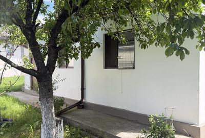 Casă cu 2 camere în Moara Domnească - 5