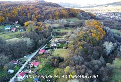 Teren agricol extravilan de 21437 mp, în Vlădesti - 1