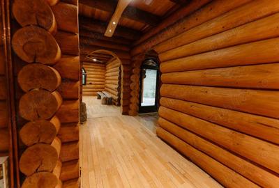 Cabana de vanzare Vatra Dornei - 7