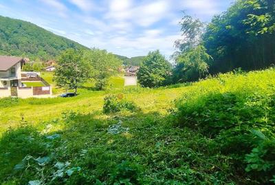 Teren Construcții intravilan de 1000 mp, în Bunloc - 6