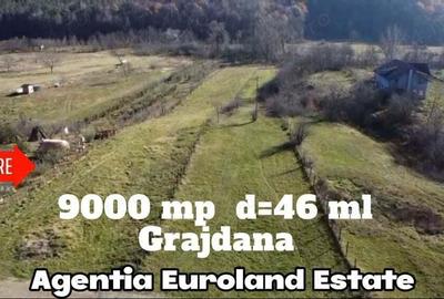 Teren 9000mp.deschidere 46ml., , Mierea Grajdana - 1