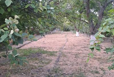 Casă în Central - 5