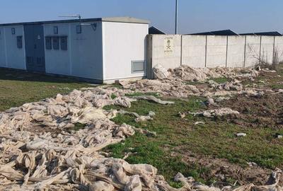 Spațiu comercial, în Sălcuța - 4