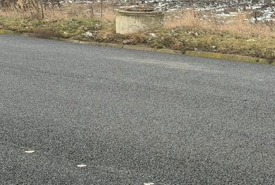 Teren de 30000 mp, în Săucești - 2