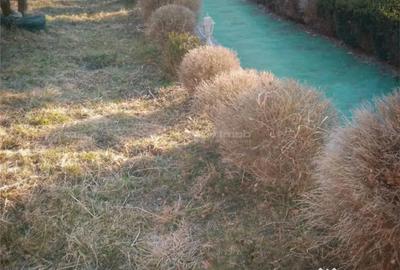 Casă cu 14 camere cu Teren 2500 Mp în Trăisteni - 7