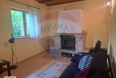 Casă cu 5 camere cu Teren 3026 Mp în Izvoarele - 7