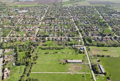 Hala de 430 mp ?i teren intravilan 2.5 ha Macea - 14