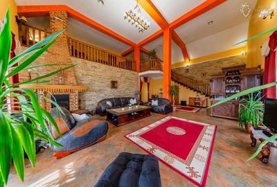 Vila modern 6 camere de vanzare in Gradiste - 48