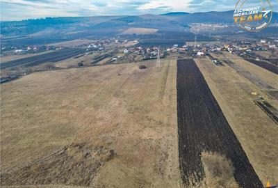 11.600 mp in Sfantu Gheorghe,deschidere: agroturism, investitie, ferma, comercial - 1