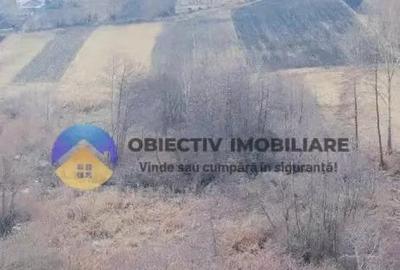 Teren de 10515 mp, în Bodești - 5