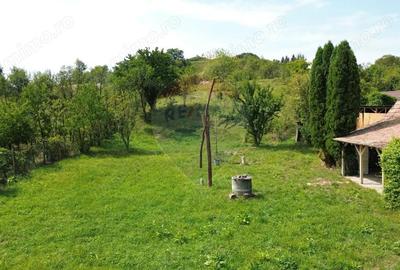 Casă cu Teren 1138 Mp în Moardăș - 13