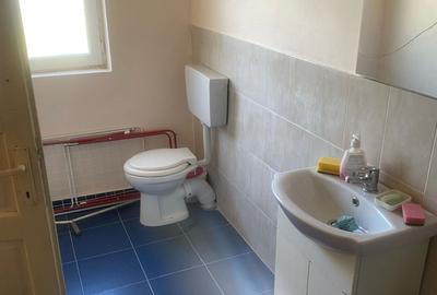 Casa de vanzare, 4600 mp, jud Alba, Craciunelul de Jos - 11