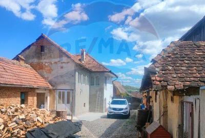 Casa la tara in satul Retis, comuna Bradeni, aproape de ... - 10