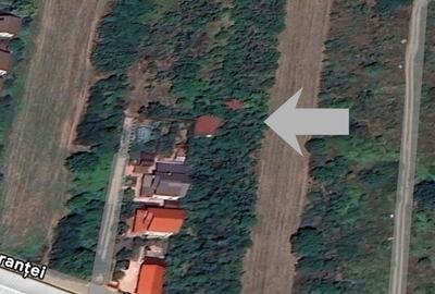 Teren de 5014 mp, în Afumați - 4