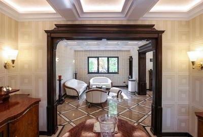 Apartament exclusivist tip duplex, 7 camere + curte, zona Parcul Carol - 23