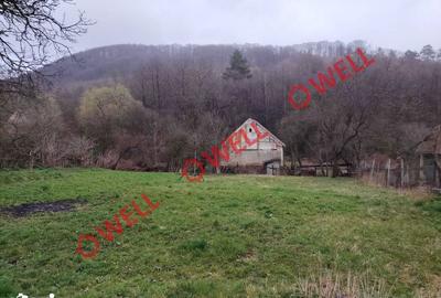 Casă cu 3 camere cu Teren 796 Mp în Malnaș - 1
