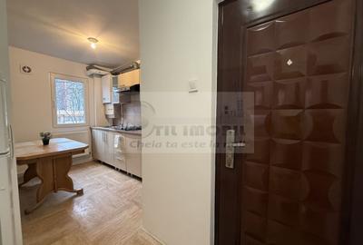 Apartament cu 2 camere semidecomandat, mobilat în Podu Roș - 15
