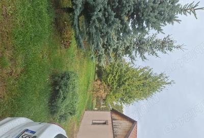 Casă cu 4 camere cu Teren 1950 Mp în Smârdan - 1