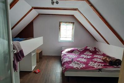 Casă cu 2 camere în Băile Felix - 1