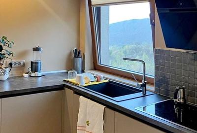 Apartament 2 Camere Vanzare, Seasons Residence - 15