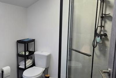 Apartament cu 2 camere semidecomandat, mobilat în Valea Lupului - 10