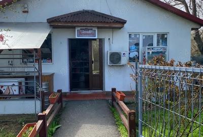 Spațiu comercial, de 280 mp, în Domnești - 3