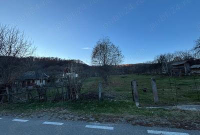 Teren de 1600 mp, în Mihăești - 4